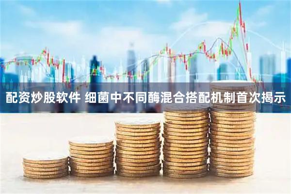 配资炒股软件 细菌中不同酶混合搭配机制首次揭示